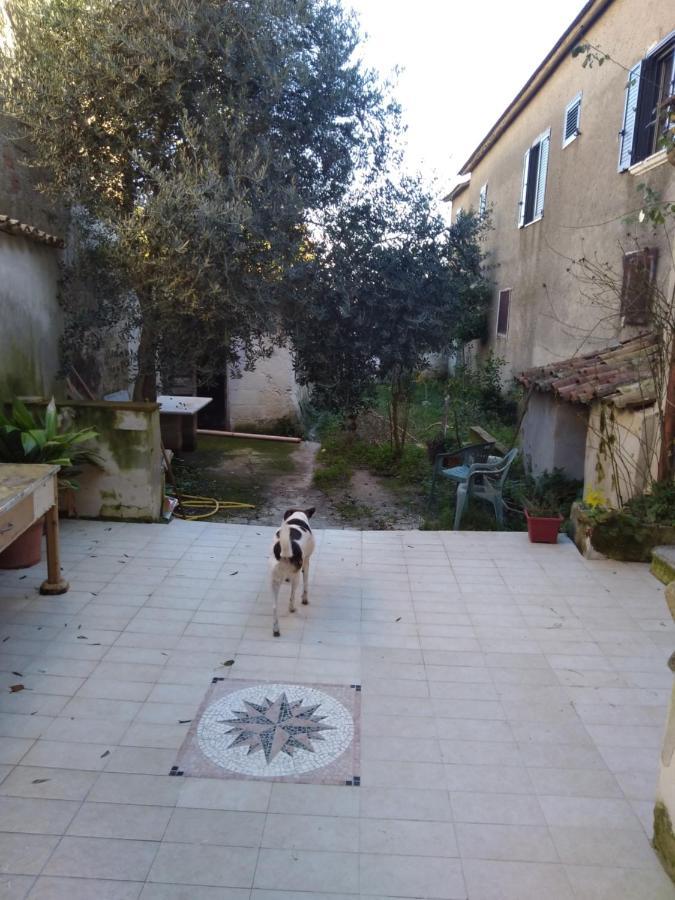 Casa Vacanza Zia Ersilia Rotondi Exteriér fotografie