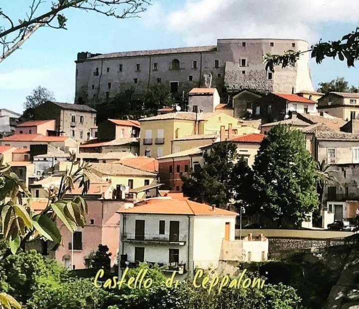 Casa Vacanza Zia Ersilia Rotondi Exteriér fotografie