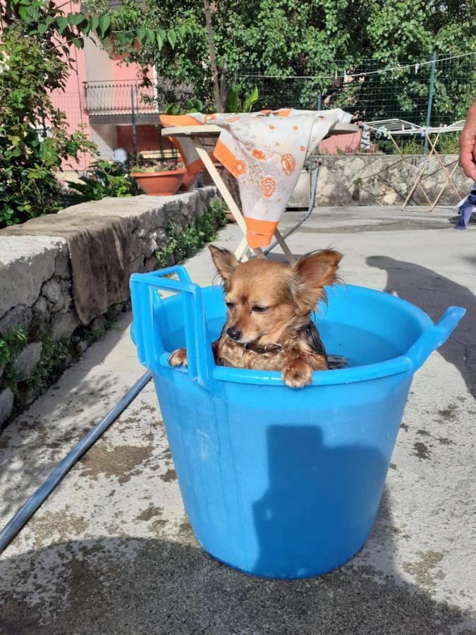 Casa Vacanza Zia Ersilia Rotondi Exteriér fotografie