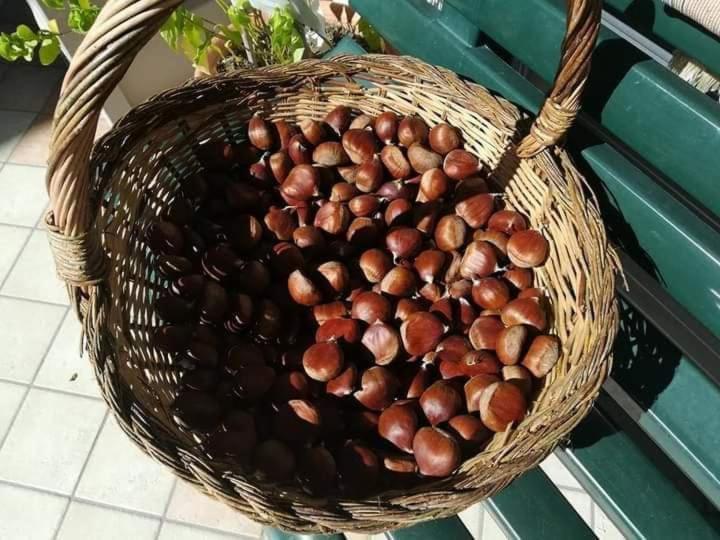 Casa Vacanza Zia Ersilia Rotondi Exteriér fotografie