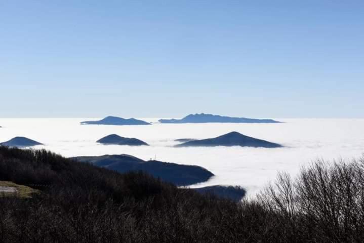 Casa Vacanza Zia Ersilia Rotondi Exteriér fotografie