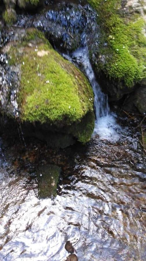 Casa Vacanza Zia Ersilia Rotondi Exteriér fotografie