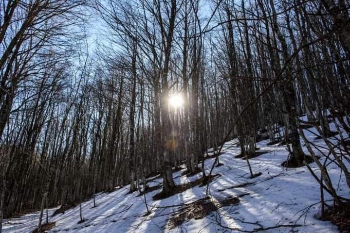 Casa Vacanza Zia Ersilia Rotondi Exteriér fotografie